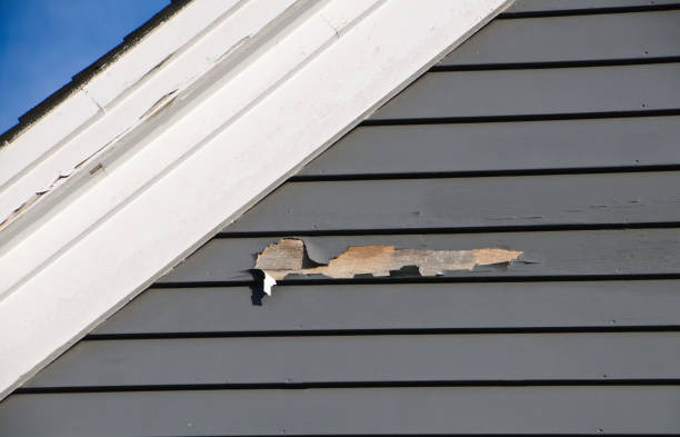 Reliable Cave Spring, VA Siding Solutions